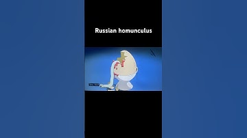 Smiling friends ￼ homunculus  #creepy #smilingfriends #russia