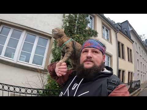 Video: Pallati dhe Kopshti i Luksemburgut (Palais du Luxembourg) përshkrimi dhe fotot - Francë: Paris