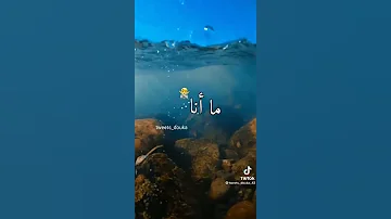 يا وياا هاذي غير عين ضربت ضربت 