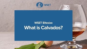 WSET Bitesize - What is Calvados?