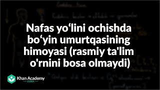 Nafas yoʻlini ochishda boʻyin umurtqasining himoyasi (rasmiy ta'lim o'rnini bosa olmaydi) | Tibbiyot