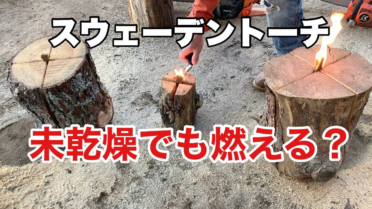 【スウェーデントーチ】未乾燥でもスウェーデントーチは燃える？
