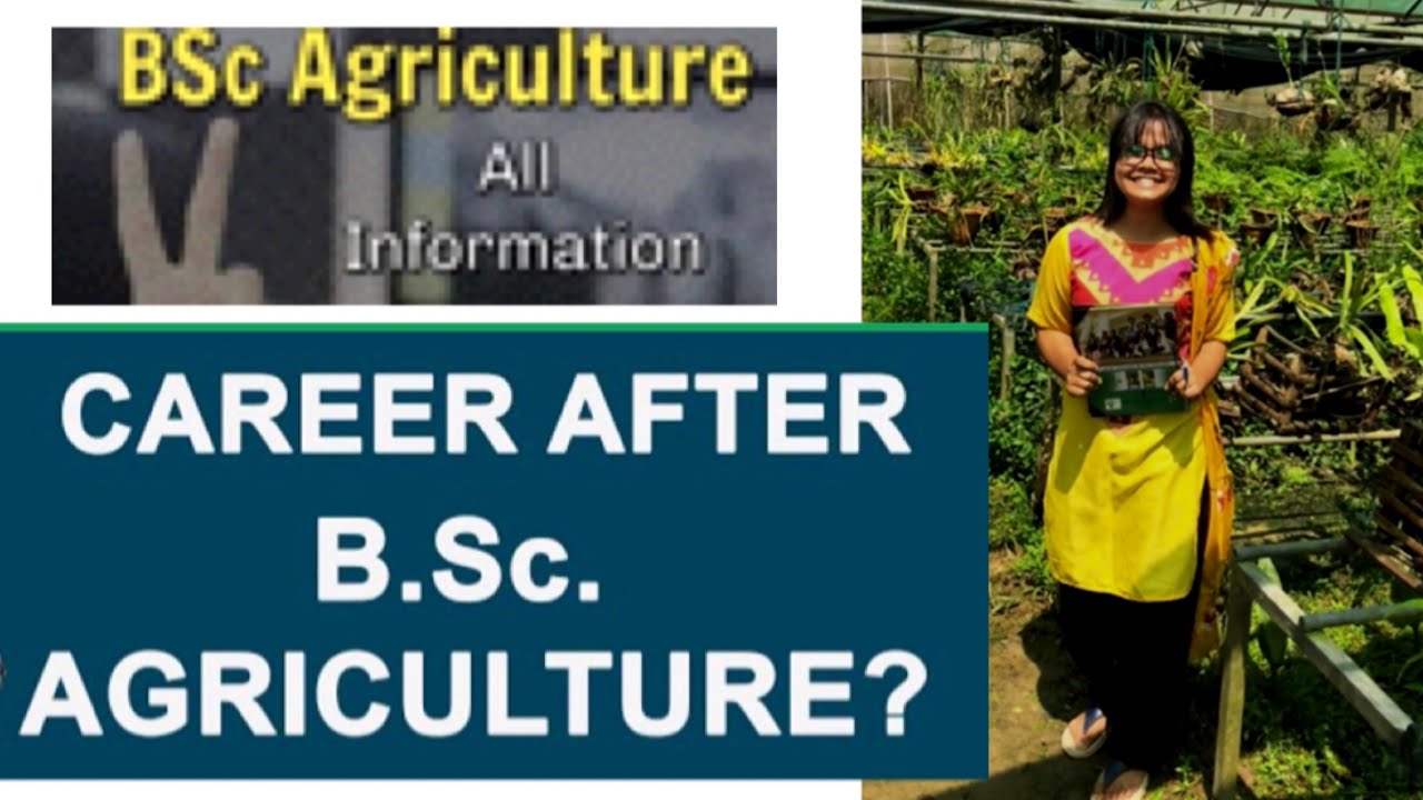 Scope after BSc Agriculture Career Option Govt Exams other