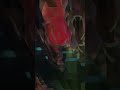 رقص خليجي رقص بحريني رقص كويتي        