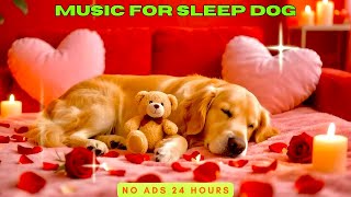 Calming Dog Sleep Music: 10 Hours of Peace for Stressed Puppies & Dogs