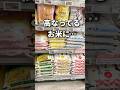 【無駄にしてない⁉︎】お米のNG保存法3選