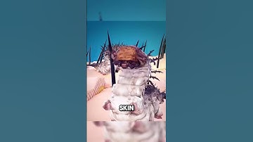 Did You Know Tiny Bugs Are Living on Your Face?