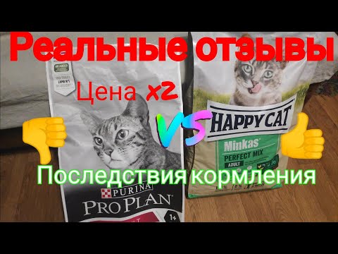 Опыт PURINA PRO PLAN VS HAPPY CAT Minkas PERFECT MIX реальные отзывы выпадает шерсть слезятся глаза🐈