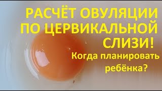 🔴Расчёт ОВУЛЯЦИИ по 💧ВЫДЕЛЕНИЯМ! 👶Признаки, когда лучше планировать ребёнка.