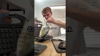 Cooking at Work