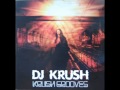 Miniature de la vidéo de la chanson Turn It Out (Dj Krush Remix)