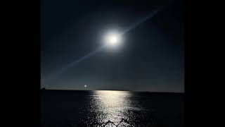 Sadece Sevmek Istiyorum Seni (Şiir)