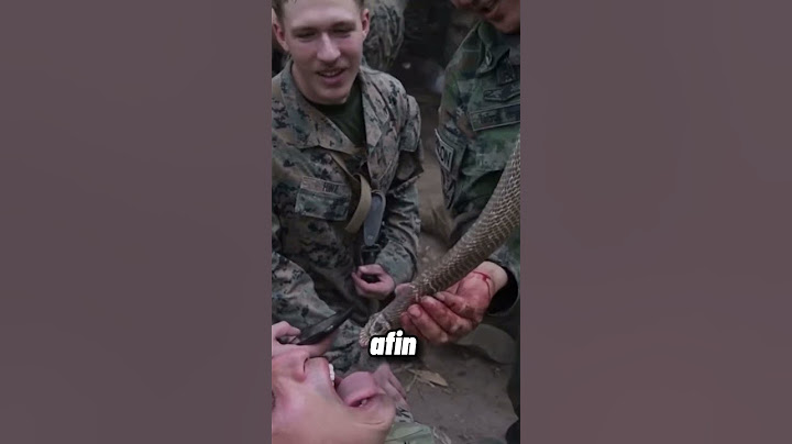 Top 10 des entraînements militaires les plus durs