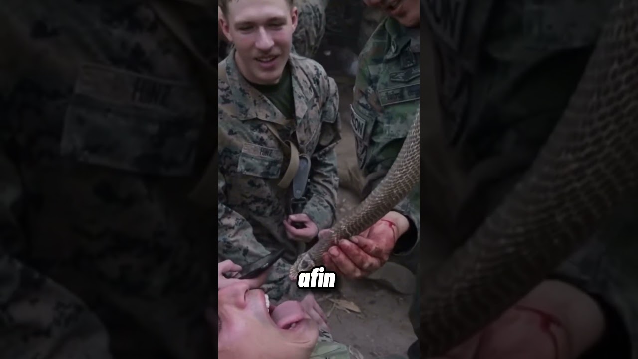 Top 10 des entraînements militaires les plus durs