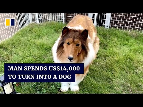 Japanese man spends US$14,000 to turn himself into a dog