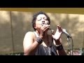 Lisa Fischer, How Can I Ease The Pain, Brooklyn, NY 8-7-14