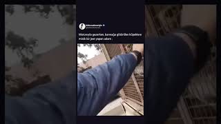 Barınağa Götürülen Köpekleri Sokağa Salan Iyi Insan...👏