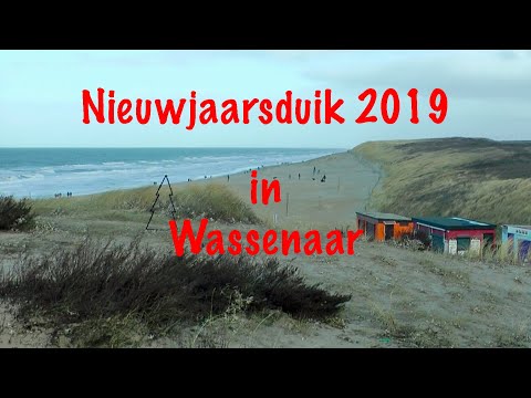 Midvliet, Nieuwjaarsduik 2019 Wassenaar