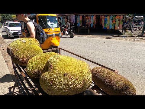 Video: Mitä Tehdä Puerto Viejo, Costa Rica