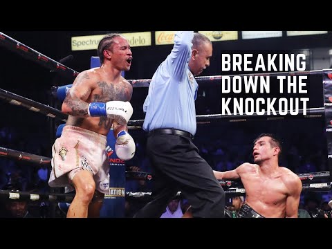 Regis Prograis vs
