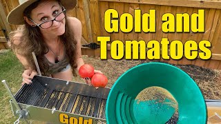 Tons of Fine Gold - Gold Prospecting Clean Ups