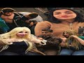 مسمعكش تقول علي كروان مشاكل مش ذكي بعد الحلقه دي كروان مشاكل محمودالجمال 