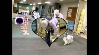 2011 Winter Fun 3.avi