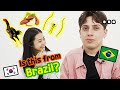 What are the MOST Famous Korean Words that contain the word &#39;Brazil&#39;? 🇧🇷