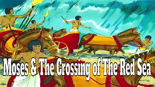 Moses & The Crossing of The Red Sea: Book of Exodus (Part 7)