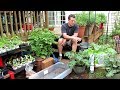 Container Gardening: All About Worm Castings, A Soilless Mix,  Refreshing Old Mix, Moisture Control