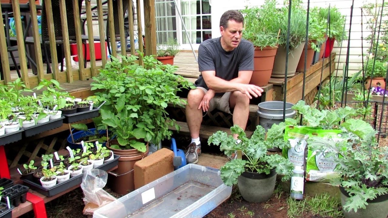 How to Organically Prepare Peat Moss for Container/ Raised Bed