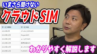 クラウドSIMのメリットとデメリットを解説【クラウドSIMに対応したWiFiサービスの紹介】