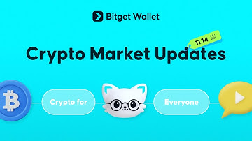 Daily Crypto Market Trends with Bitget Wallet | November 14th, 2025