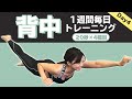 【毎日4分】背中を引き締める木曜！贅肉を落としスッキリした背中を作る筋トレ【ライザップ1週間追い込みトレーニング】