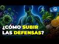 ¿Cómo fortalecer las defensas naturalmente? El papel clave del sistema linfático | DW
