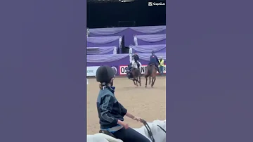 Hard Times Equestrian Pony Fails 