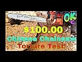 $100 Chinese Chainsaw Torture Test!