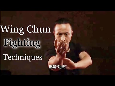 Wing Chun techniques martial arts instructions from Master Tu Tengyao