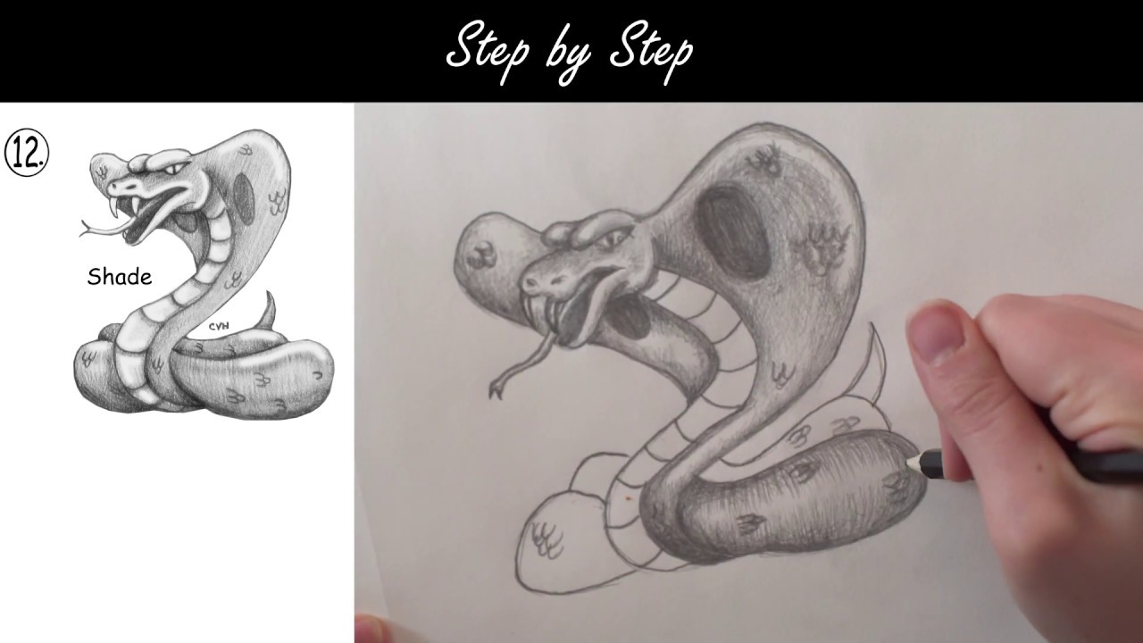 How to Draw a Cobra - YouTube