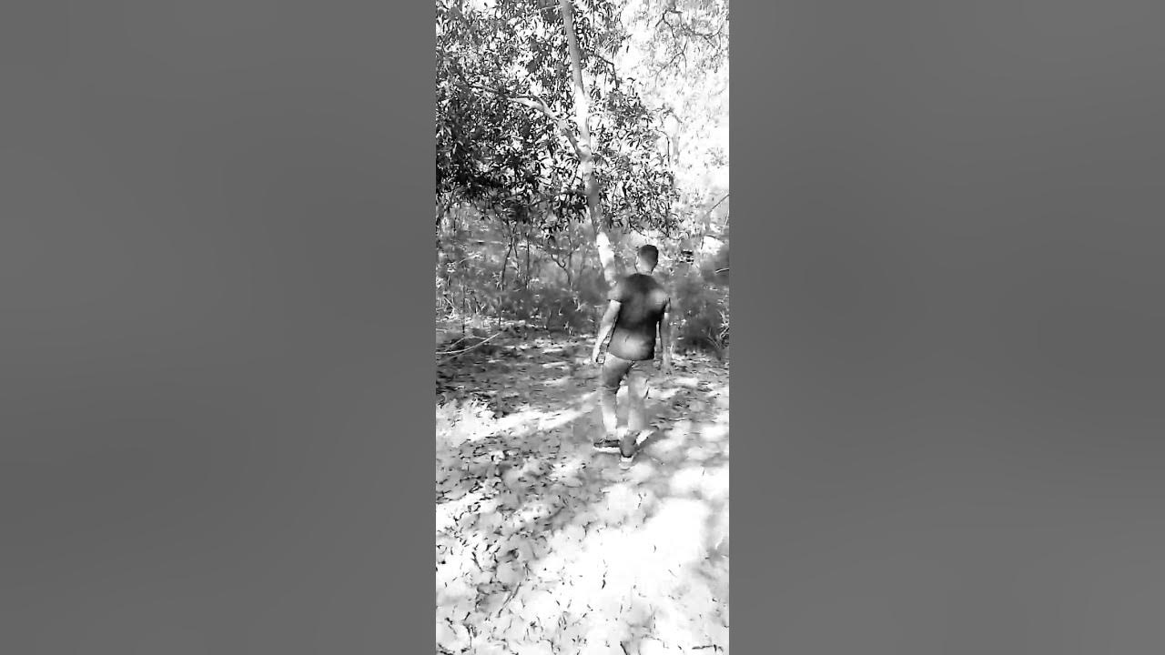 is-bargad-ke-pedh-me-bhi-bhuta-vash-hai-dekhiye-youtube