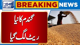 Breaking News About Wheat Purchasing | Big Success For Farmers | Lahore News HD