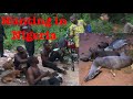 How to hunt bushmeat - Nigeria hunters hunting bush meat