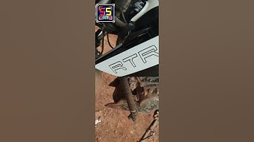 Apache side radium white sticker RTR sticker name#best #video#trending #reels #yaragatti #ssalimarts