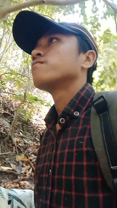 lagi mikat burung di hutan denger suara burung opior yg lagi bunyi @irfancahnnel