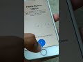 Iphone Home Button and Haptic