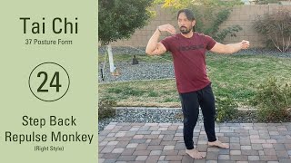 24. Step Back Repulse Monkey | Tai Chi 37 Posture Form