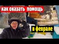 Зимовка пчел  Гнездо пчел разобрали пчелы покусали