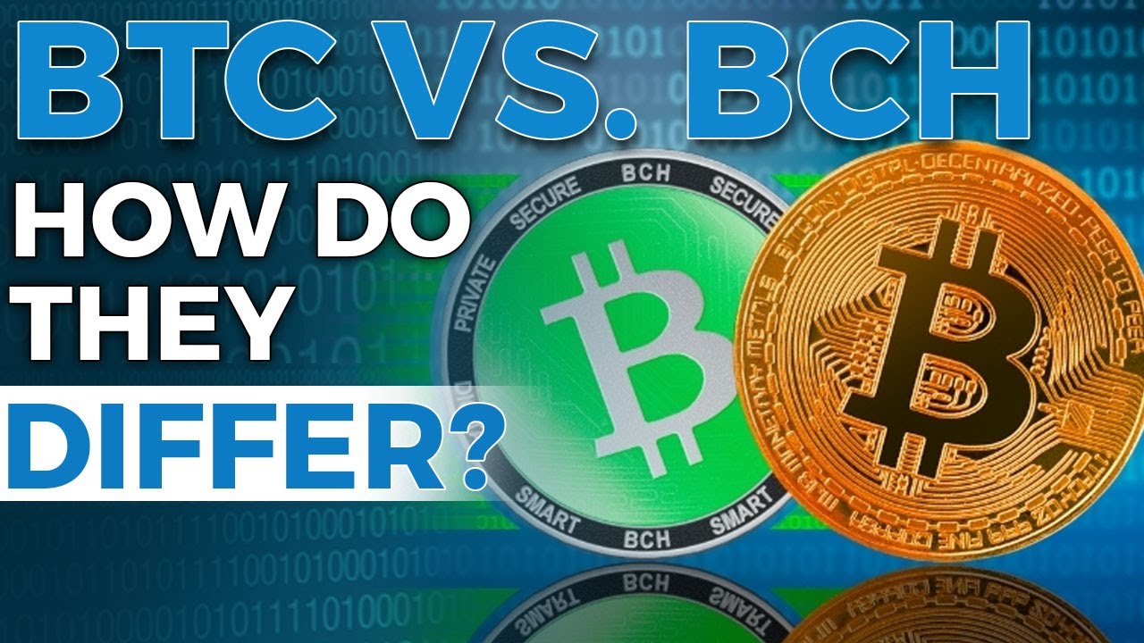 Bcc vs btc vs bch best cryptocurrency charts live