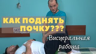 Как поставить почку на место!