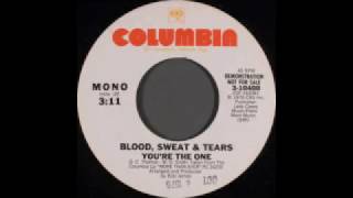 Blood Sweat & Tears- You're The One.